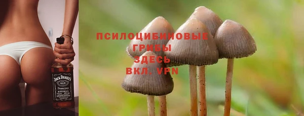 скорость Краснослободск