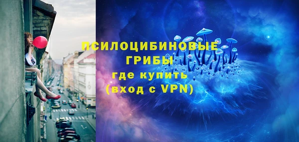 PSILOCYBIN Красноперекопск